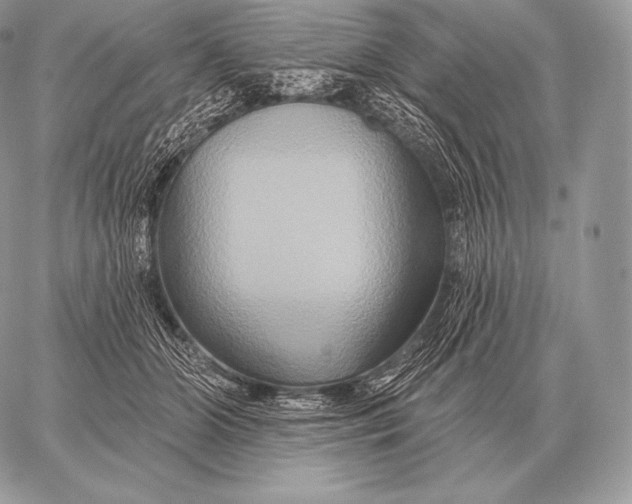 X0000059840510200511111748