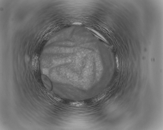 X0000059840511200511111748