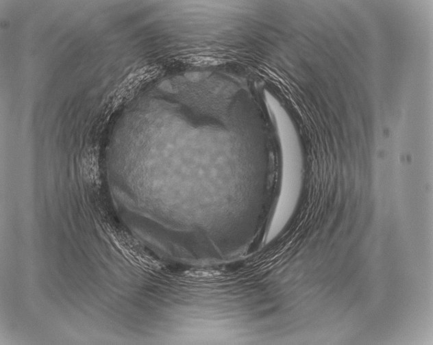 X0000059840512200511111748