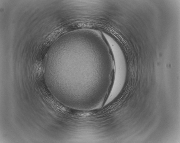 X0000059840513200511111748