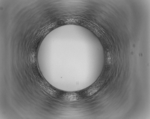 X0000059840514200511111748