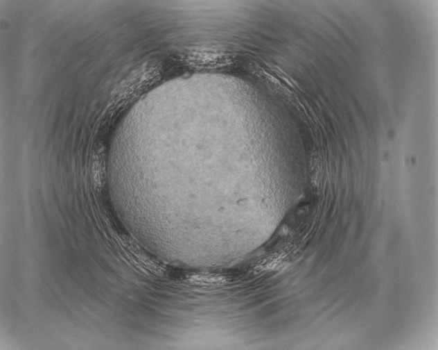 X0000059840515200511111748