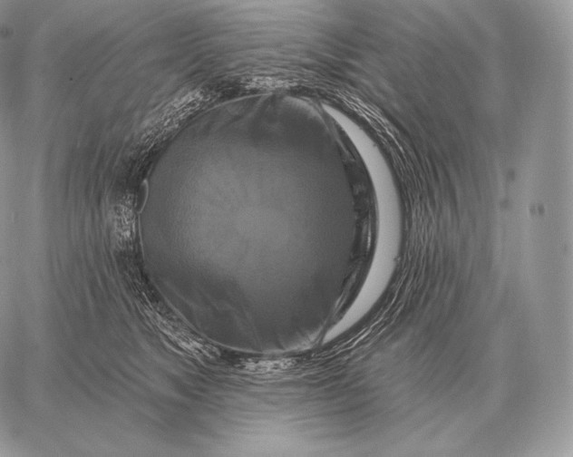 X0000059840517200511111748