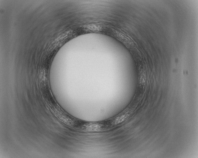 X0000059840518200511111748