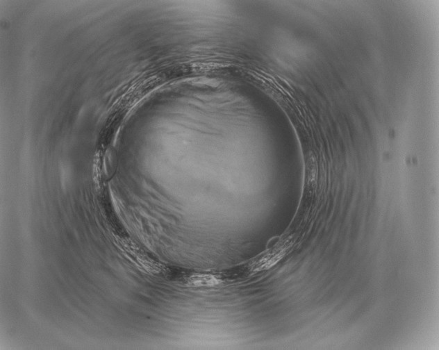 X0000059840519200511111748