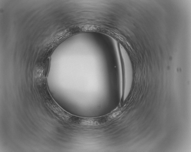 X0000059840521200511111748