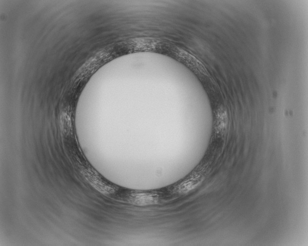 X0000059840522200511111748