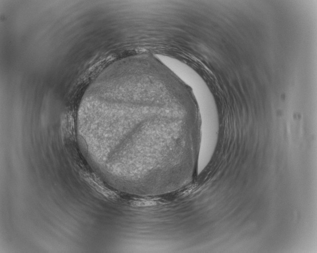 X0000059840523200511111748