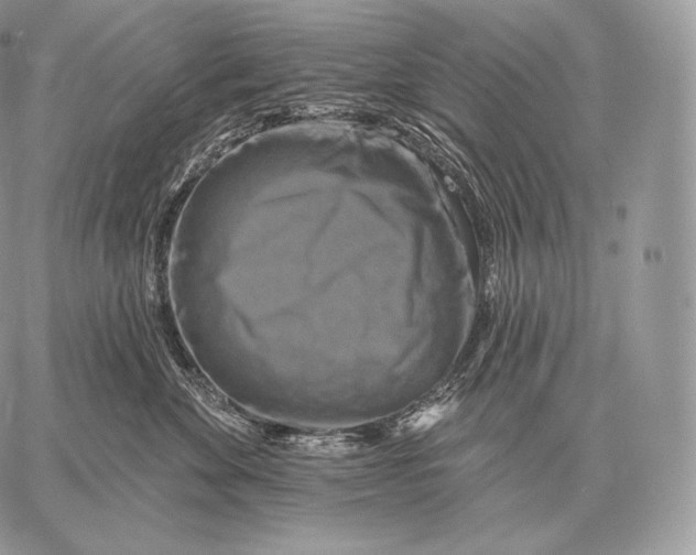 X0000059840524200511111748