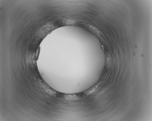 X0000059840525200511111748