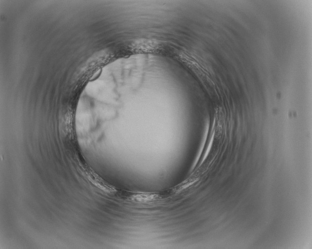 X0000059840526200511111748