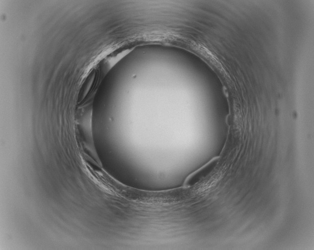 X0000059840530200511111747