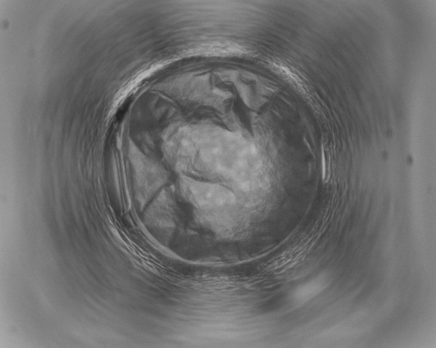 X0000059840531200511111747