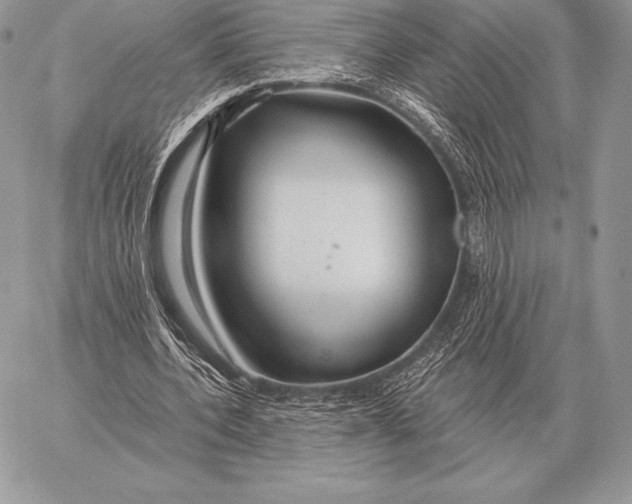 X0000059840532200511111747