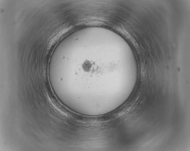 X0000059840533200511111747