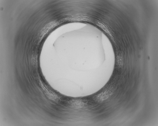 X0000059840534200511111747