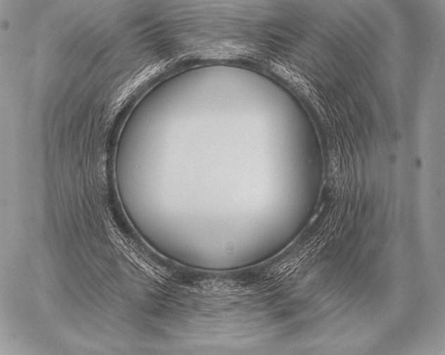 X0000059840535200511111747