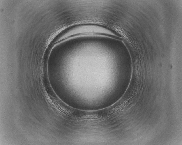 X0000059840536200511111747