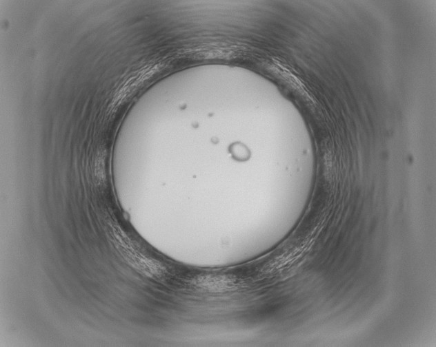 X0000059840537200511111747