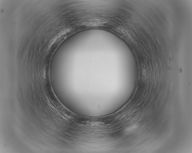 X0000059840539200511111747