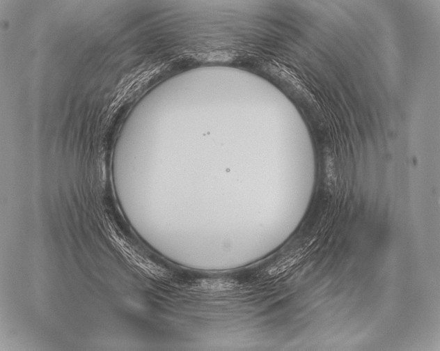 X0000059840541200511111747