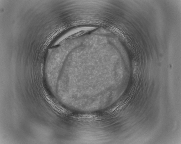 X0000059840542200511111747