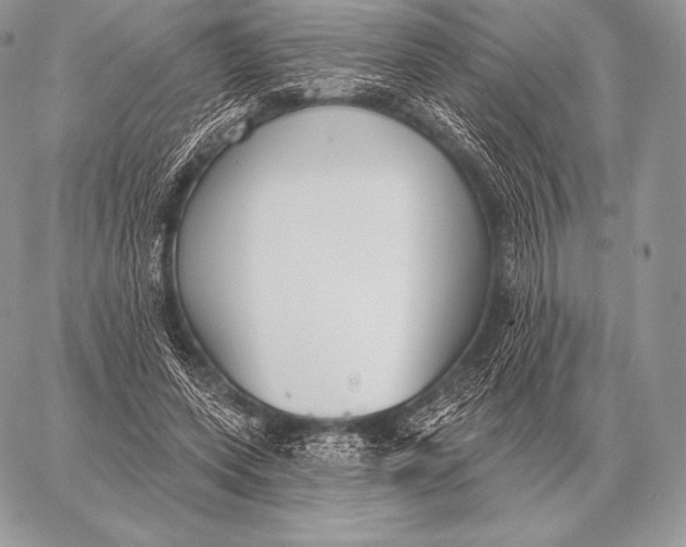 X0000059840543200511111747