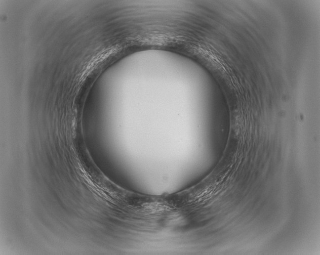 X0000059840544200511111747