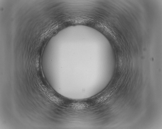 X0000059840545200511111747