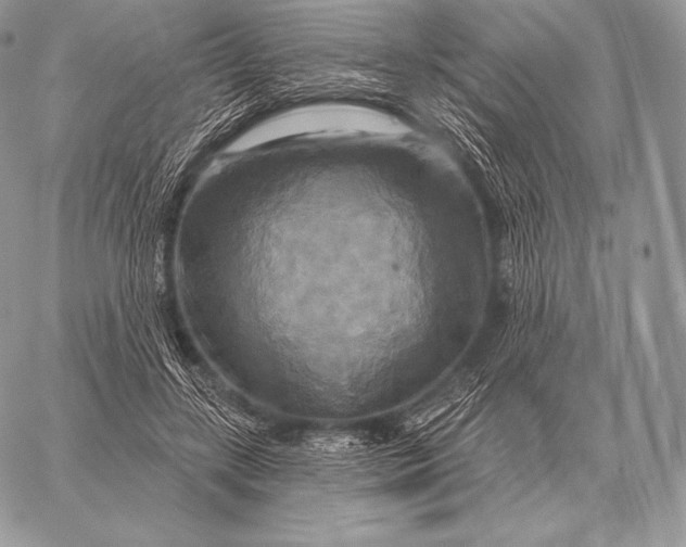 X0000059840547200511111747