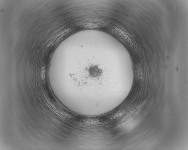 X0000059840549200511111747