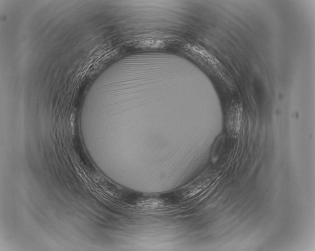 X0000059840551200511111747