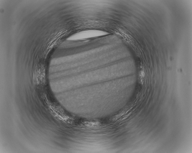 X0000059840552200511111747