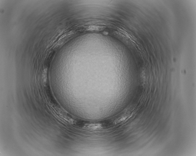 X0000059840554200511111747