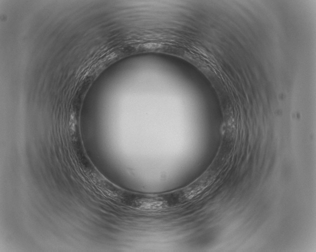 X0000059840555200511111747