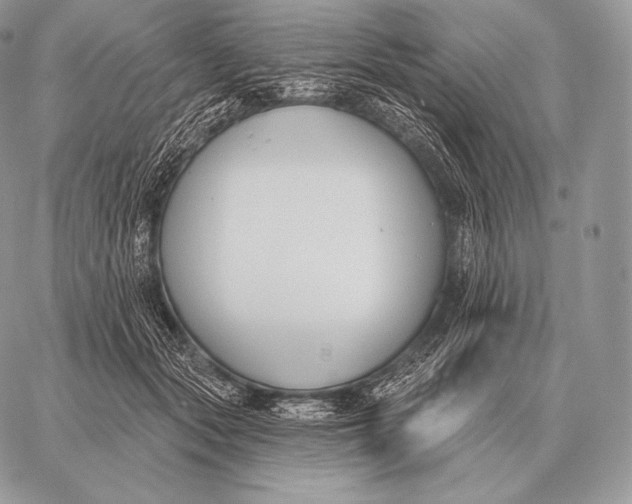 X0000059840557200511111747