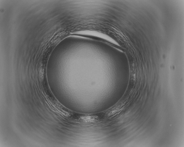 X0000059840558200511111747