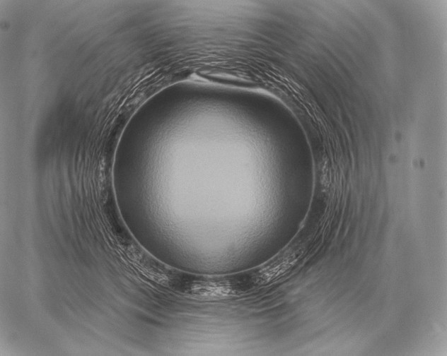 X0000059840559200511111747