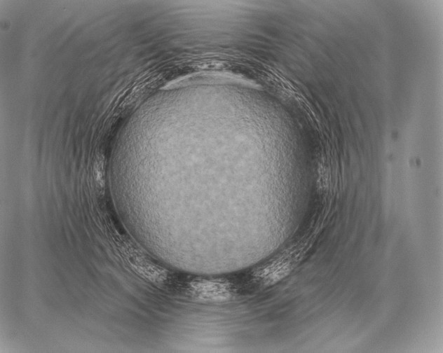 X0000059840561200511111747