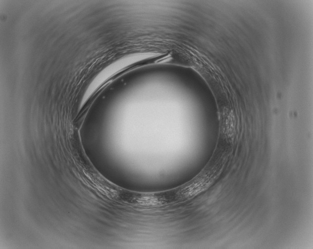 X0000059840562200511111747