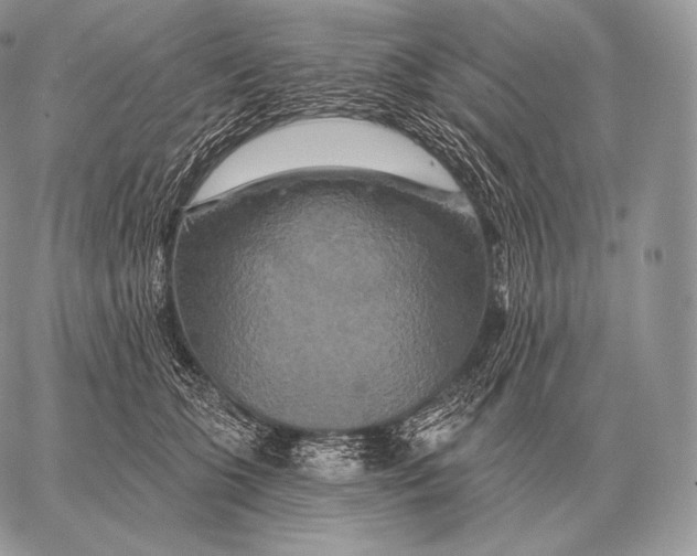 X0000059840563200511111747