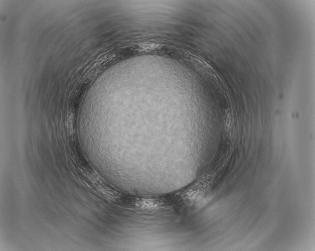 X0000059840565200511111748