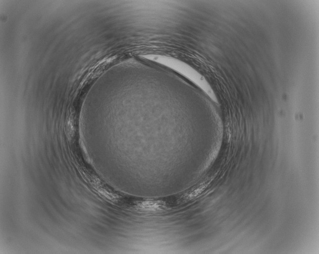 X0000059840566200511111748