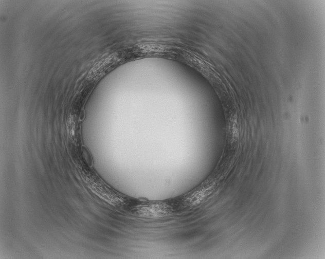 X0000059840567200511111748