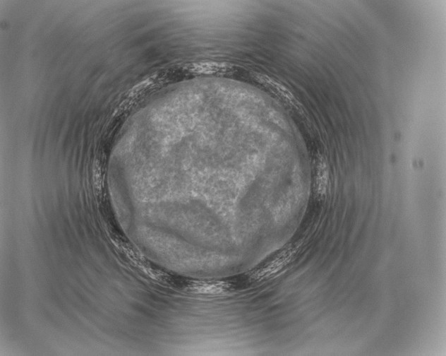 X0000059840569200511111748