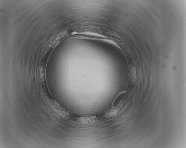 X0000059840571200511111748