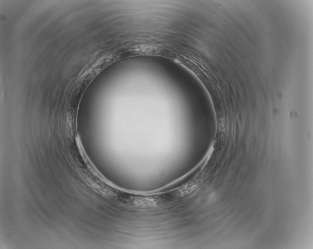 X0000059840572200511111748