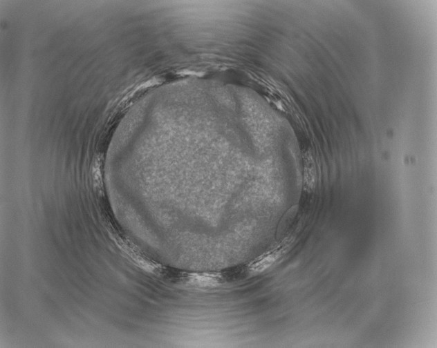 X0000059840573200511111748