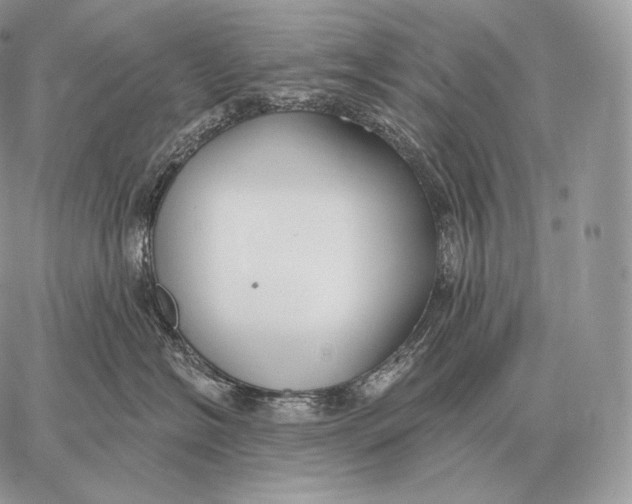 X0000059840574200511111748