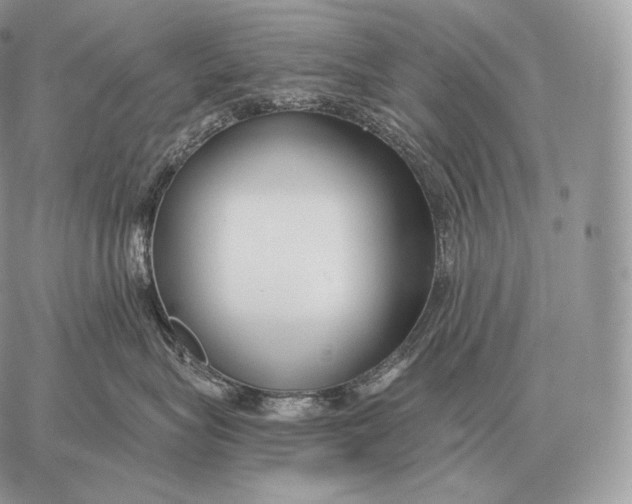 X0000059840575200511111748